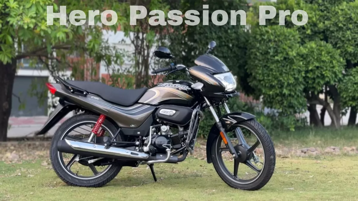 Hero Passion Pro